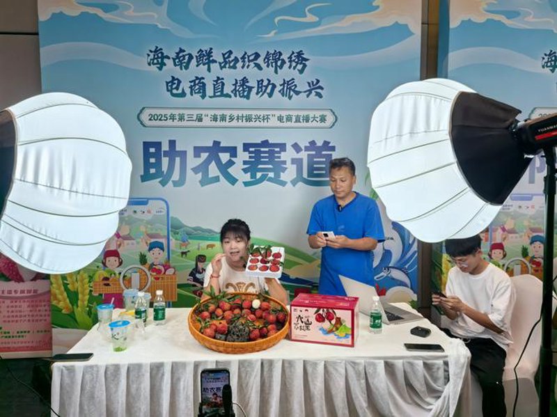 海南电商